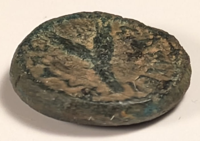 SAMARIA, Neapolis ~ Domitian. 81-96 ~ Æ16 (3.96g) ~ Laureate bust right ~ Two ears of grain on 1 stal, LEI = year 15 = 86/87 AD. Usually seen dated year 11. ~ Ros-6, ~ F, porous, obv. o.c.