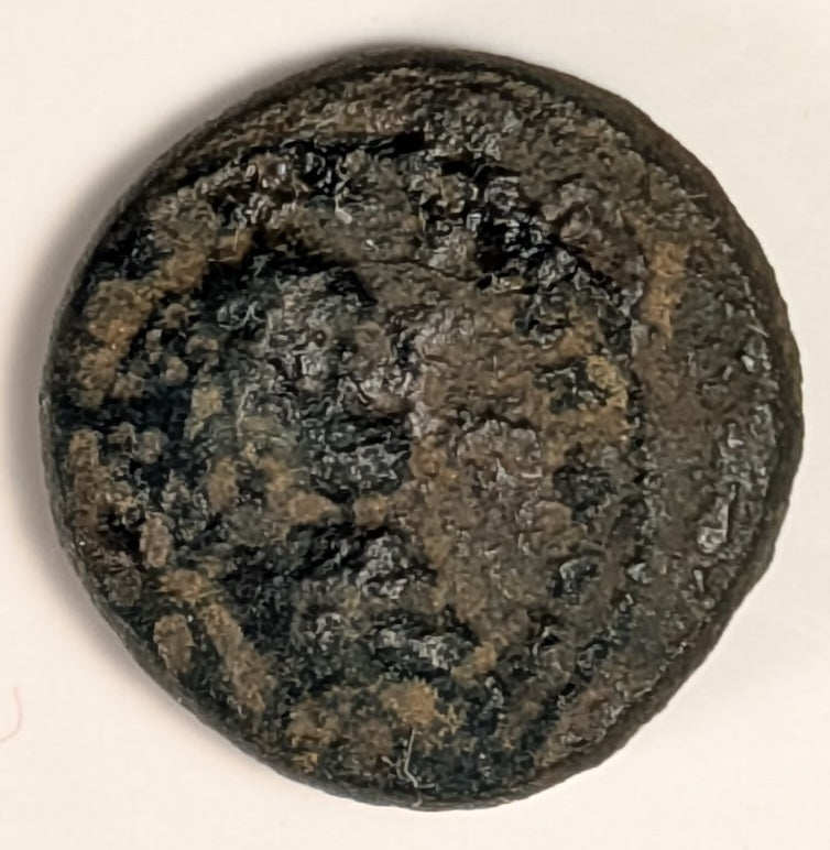 SAMARIA, Neapolis ~ Domitian. 81-96 ~ Æ16 (3.96g) ~ Laureate bust right ~ Two ears of grain on 1 stal, LEI = year 15 = 86/87 AD. Usually seen dated year 11. ~ Ros-6, ~ F, porous, obv. o.c.