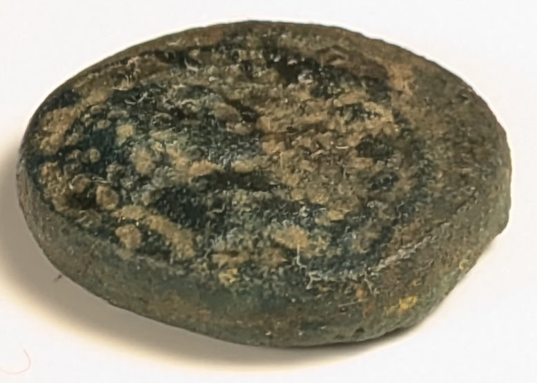 SAMARIA, Neapolis ~ Domitian. 81-96 ~ Æ16 (3.96g) ~ Laureate bust right ~ Two ears of grain on 1 stal, LEI = year 15 = 86/87 AD. Usually seen dated year 11. ~ Ros-6, ~ F, porous, obv. o.c.