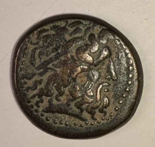 PTOLEMAIC EGYPT, Ptolemy III, Euergetes ~ 246-221 BC ~ Æ19 (5.27g) of Tyre ~ Head of Zeus Ammon right. D. Wolf attributes to PIII, SNG & Svo say PII ~ Eagle standing left on thunderbolt, club to left ~ SNG Cop-496-497, Svo0 709-710 ~ Ch. VF, nice por