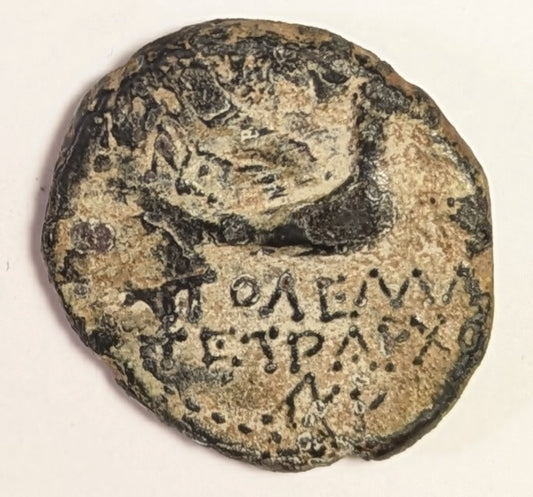 SYRIA, COELE-SYRIA, Dynasts of Chalkis. Ptolemy ~  c. 85-40 BC ~ Æ19 (5.33g) ~  Laureate head of Zeus right ~ countermark of Cleopatra VII (?) right ~ Eagle flying right. Attribution of c/m to Cleopatra is speculative but but the evidence seems to fi
